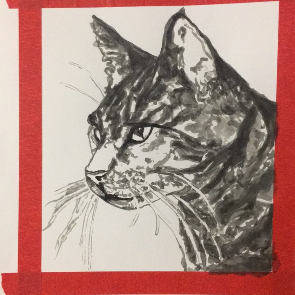 Original Ink Sketch of Cat